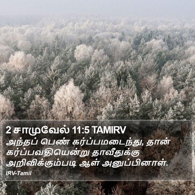 2 சாமுவேல் 11:5 TAMIRV Bible Verse Image