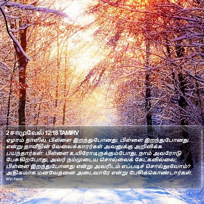 2 சாமுவேல் 12:18 TAMIRV Bible Verse Image