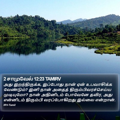 2 சாமுவேல் 12:23 TAMIRV Bible Verse Image