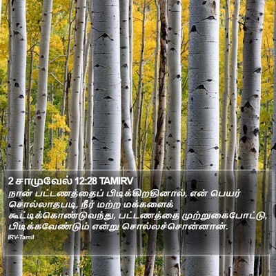 2 சாமுவேல் 12:28 TAMIRV Bible Verse Image