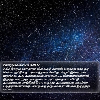 2 சாமுவேல் 12:3 TAMIRV Bible Verse Image