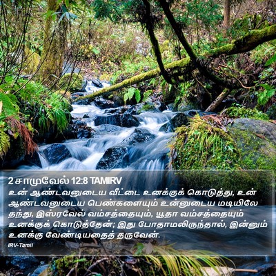 2 சாமுவேல் 12:8 TAMIRV Bible Verse Image