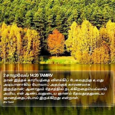 2 சாமுவேல் 14:20 TAMIRV Bible Verse Image