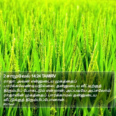 2 சாமுவேல் 14:24 TAMIRV Bible Verse Image