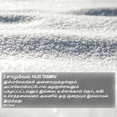 2 சாமுவேல் 14:25 TAMIRV Bible Verse Image