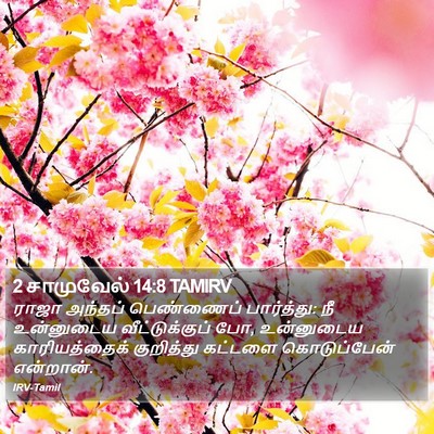 2 சாமுவேல் 14:8 TAMIRV Bible Verse Image