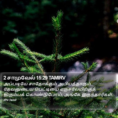2 சாமுவேல் 15:29 TAMIRV Bible Verse Image