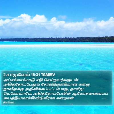 2 சாமுவேல் 15:31 TAMIRV Bible Verse Image