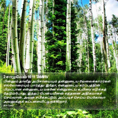 2 சாமுவேல் 16:11 TAMIRV Bible Verse Image