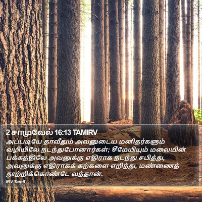 2 சாமுவேல் 16:13 TAMIRV Bible Verse Image