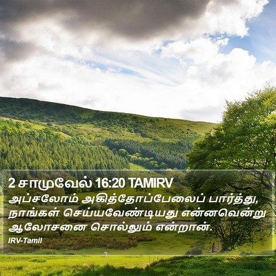 2 சாமுவேல் 16:20 TAMIRV Bible Verse Image