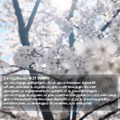 2 சாமுவேல் 16:21 TAMIRV Bible Verse Image