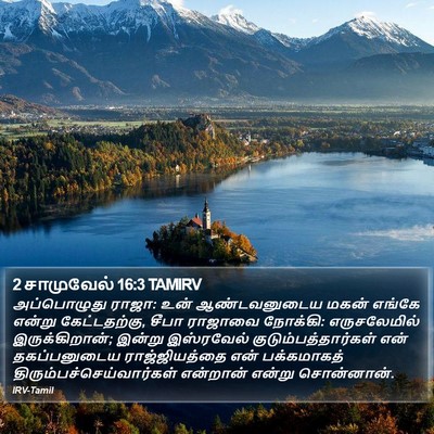 2 சாமுவேல் 16:3 TAMIRV Bible Verse Image