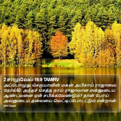 2 சாமுவேல் 16:9 TAMIRV Bible Verse Image