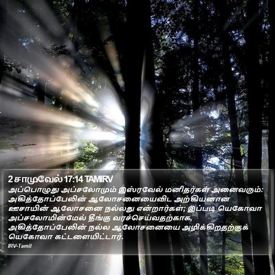 2 சாமுவேல் 17:14 TAMIRV Bible Verse Image