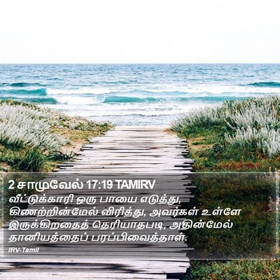 2 சாமுவேல் 17:19 TAMIRV Bible Verse Image