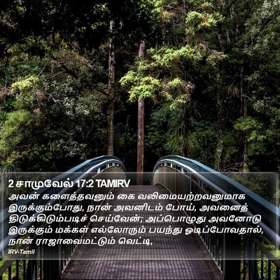 2 சாமுவேல் 17:2 TAMIRV Bible Verse Image