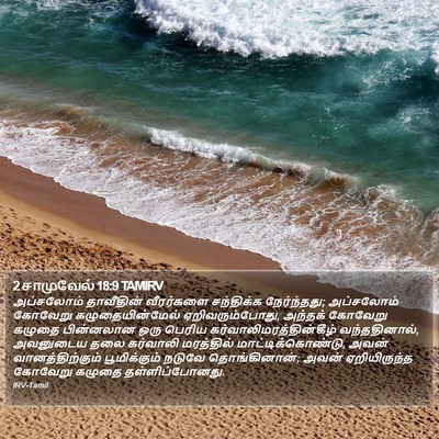 2 சாமுவேல் 18:9 TAMIRV Bible Verse Image