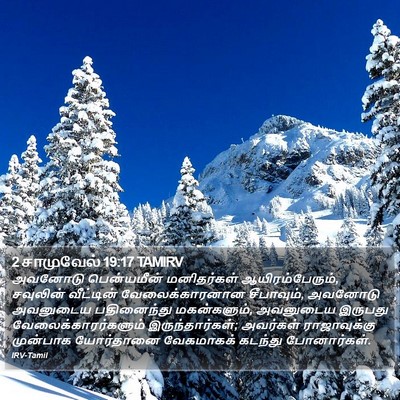 2 சாமுவேல் 19:17 TAMIRV Bible Verse Image