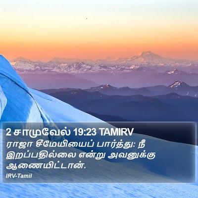 2 சாமுவேல் 19:23 TAMIRV Bible Verse Image