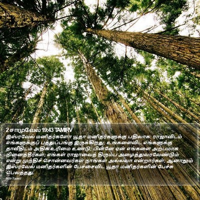 2 சாமுவேல் 19:43 TAMIRV Bible Verse Image