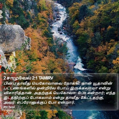 2 சாமுவேல் 2:1 TAMIRV Bible Verse Image