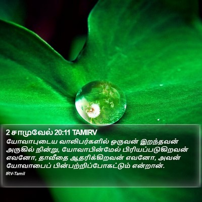2 சாமுவேல் 20:11 TAMIRV Bible Verse Image