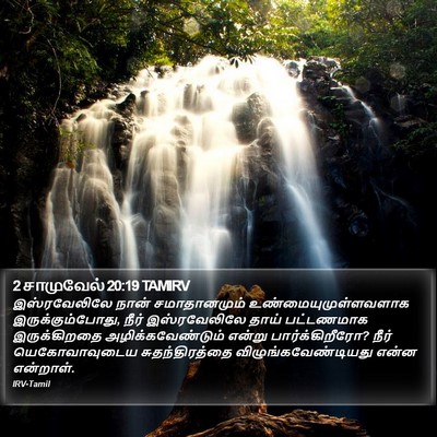 2 சாமுவேல் 20:19 TAMIRV Bible Verse Image