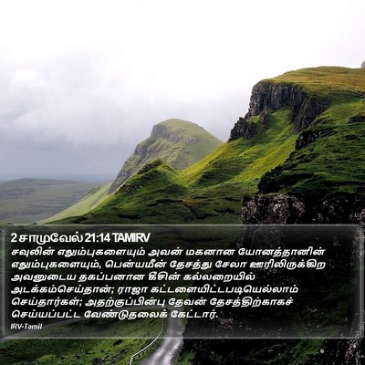 2 சாமுவேல் 21:14 TAMIRV Bible Verse Image