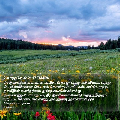 2 சாமுவேல் 21:17 TAMIRV Bible Verse Image