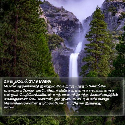 2 சாமுவேல் 21:19 TAMIRV Bible Verse Image