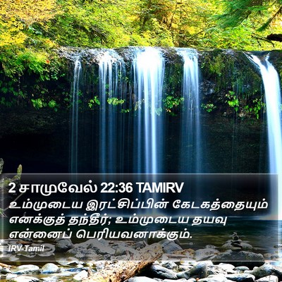 2 சாமுவேல் 22:36 TAMIRV Bible Verse Image