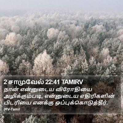 2 சாமுவேல் 22:41 TAMIRV Bible Verse Image