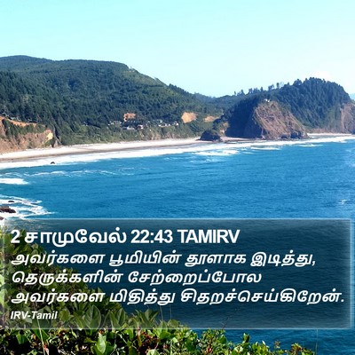 2 சாமுவேல் 22:43 TAMIRV Bible Verse Image