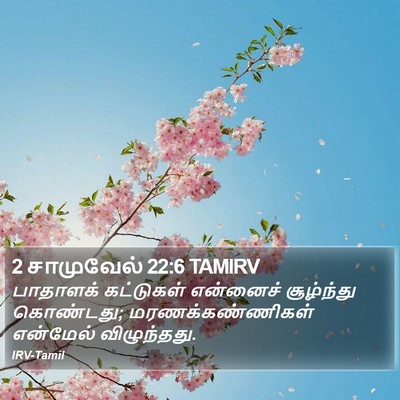 2 சாமுவேல் 22:6 TAMIRV Bible Verse Image
