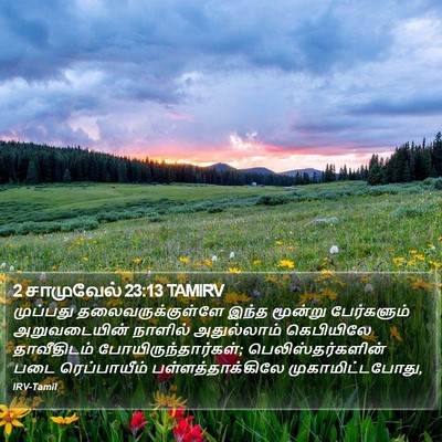 2 சாமுவேல் 23:13 TAMIRV Bible Verse Image