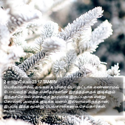 2 சாமுவேல் 23:17 TAMIRV Bible Verse Image
