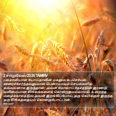 2 சாமுவேல் 23:20 TAMIRV Bible Verse Image