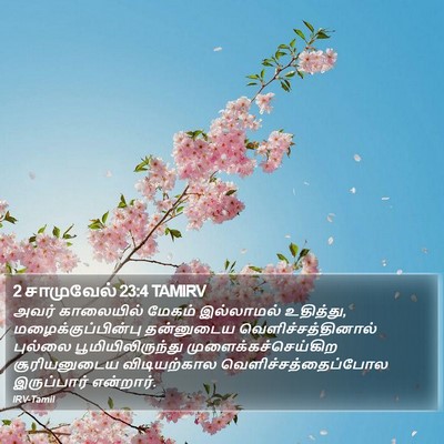 2 சாமுவேல் 23:4 TAMIRV Bible Verse Image