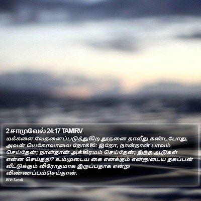 2 சாமுவேல் 24:17 TAMIRV Bible Verse Image
