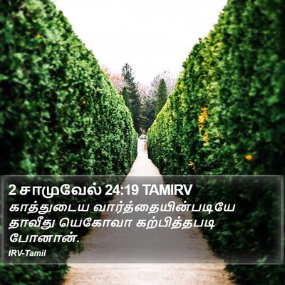 2 சாமுவேல் 24:19 TAMIRV Bible Verse Image