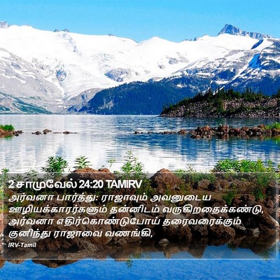 2 சாமுவேல் 24:20 TAMIRV Bible Verse Image