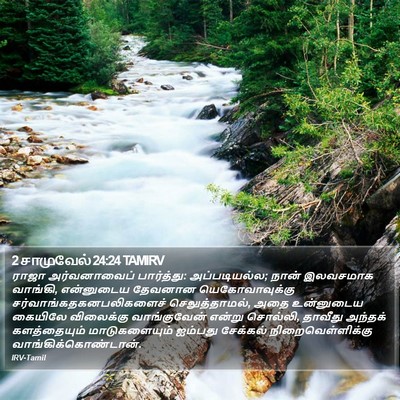 2 சாமுவேல் 24:24 TAMIRV Bible Verse Image
