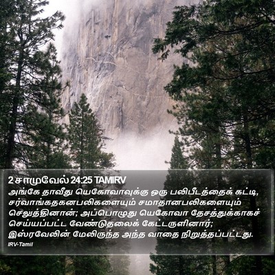 2 சாமுவேல் 24:25 TAMIRV Bible Verse Image
