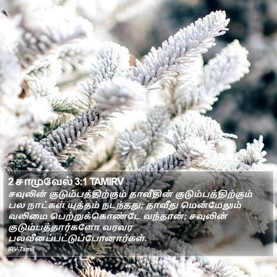 2 சாமுவேல் 3:1 TAMIRV Bible Verse Image