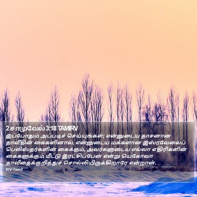 2 சாமுவேல் 3:18 TAMIRV Bible Verse Image