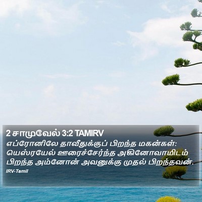 2 சாமுவேல் 3:2 TAMIRV Bible Verse Image