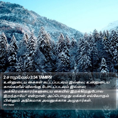 2 சாமுவேல் 3:34 TAMIRV Bible Verse Image
