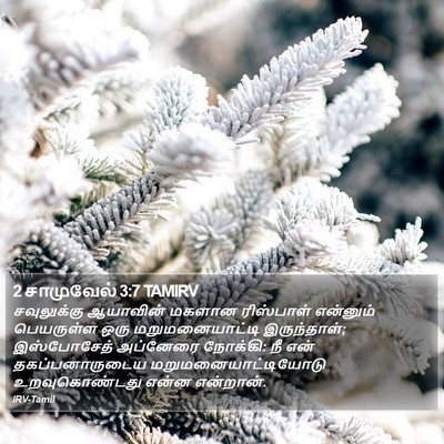 2 சாமுவேல் 3:7 TAMIRV Bible Verse Image