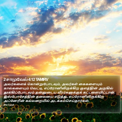2 சாமுவேல் 4:12 TAMIRV Bible Verse Image